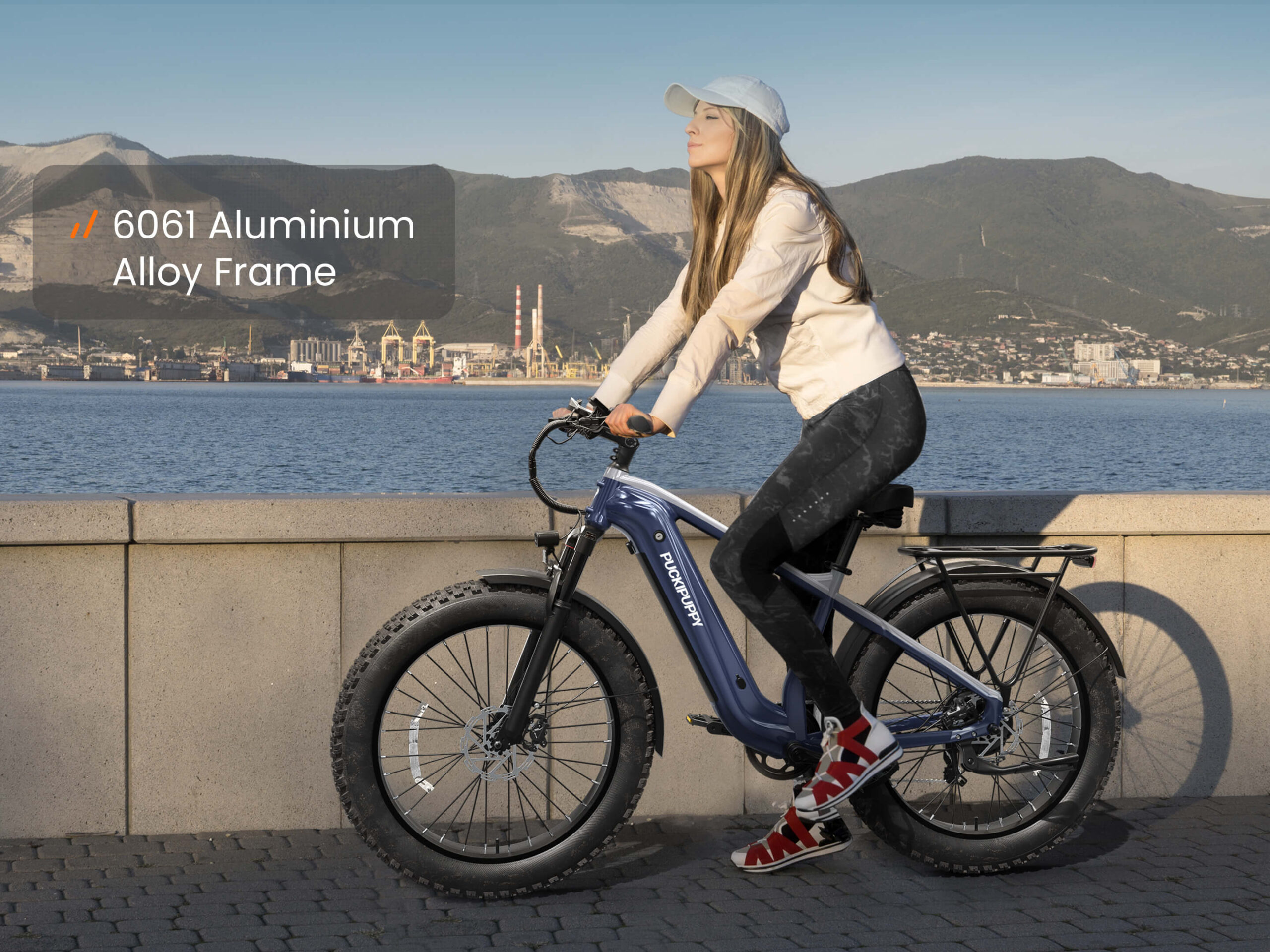 beagle 2 ebike beagle 2 ebike