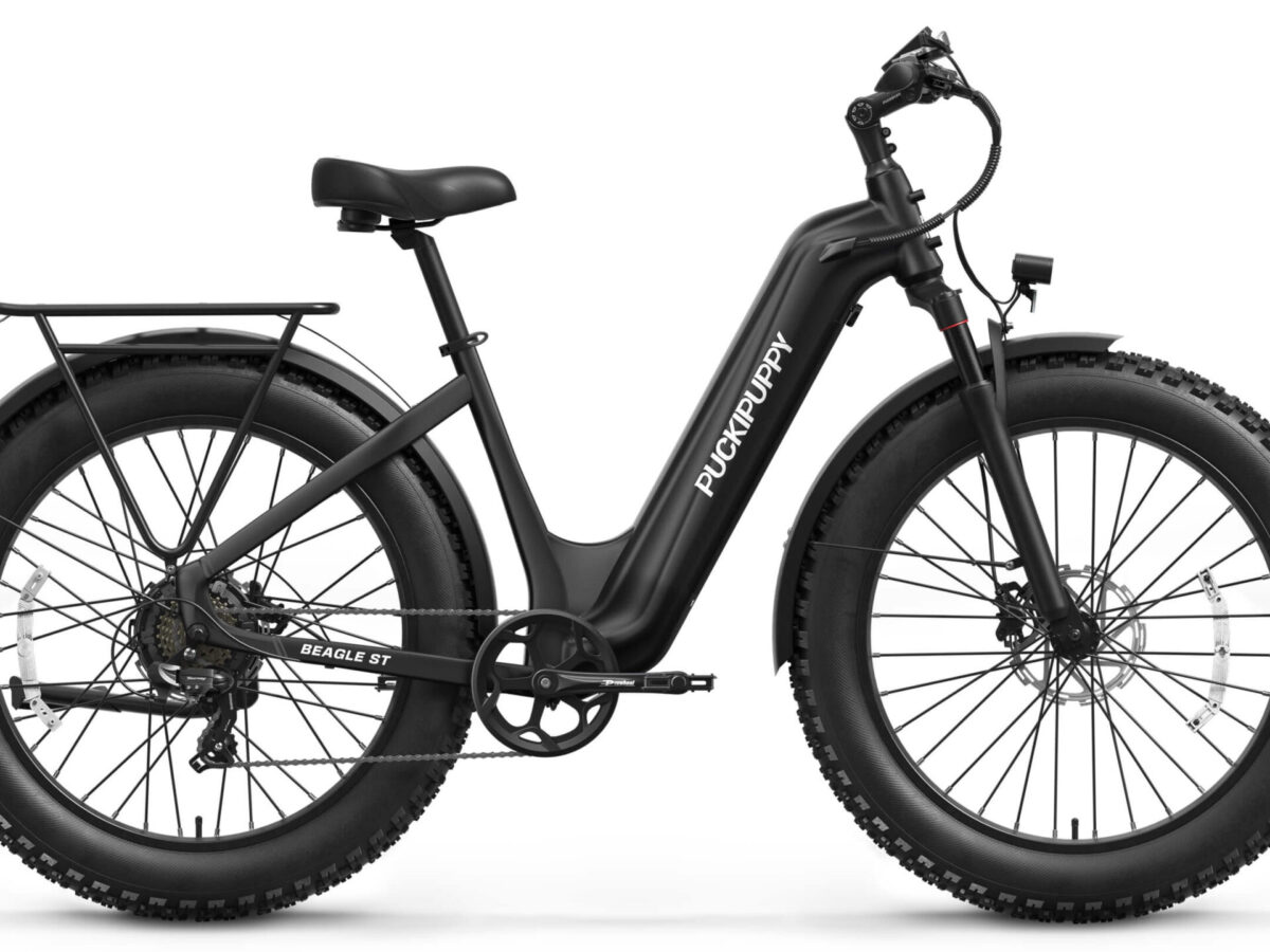 beagle 2 st ebike